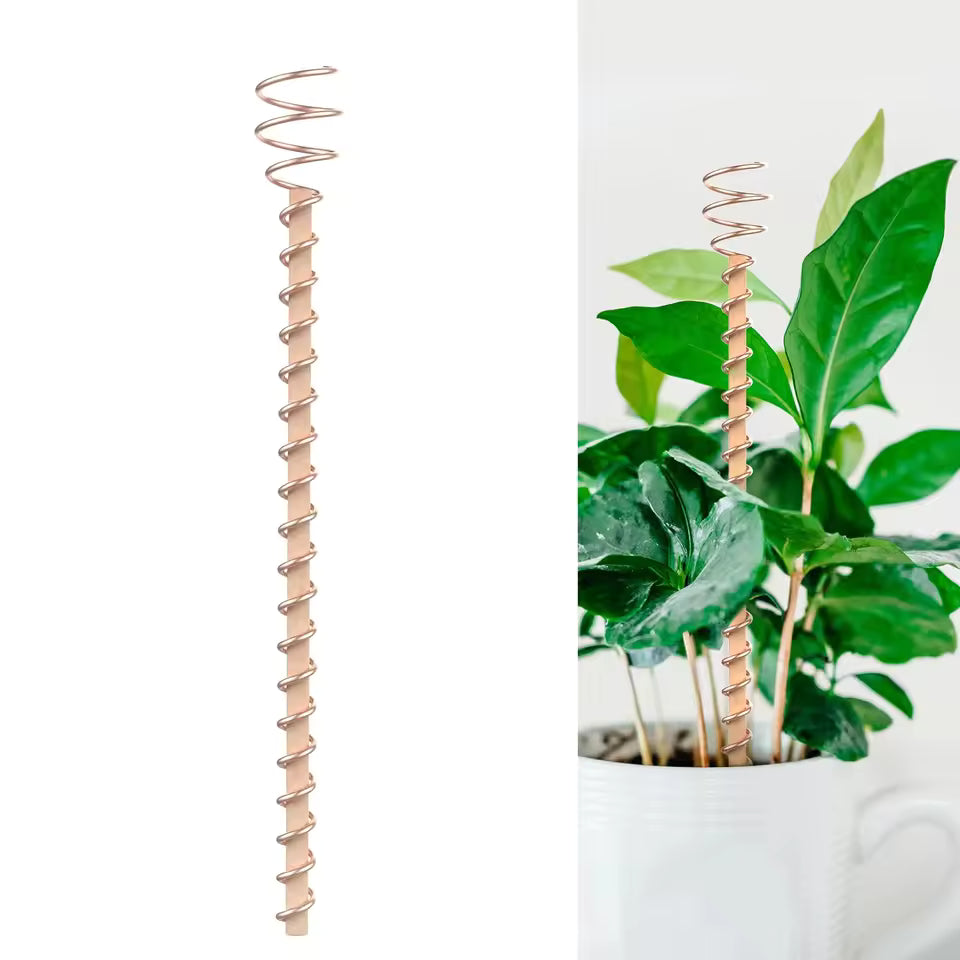 VitalSpire™ – Energy‑Boost Copper Stakes