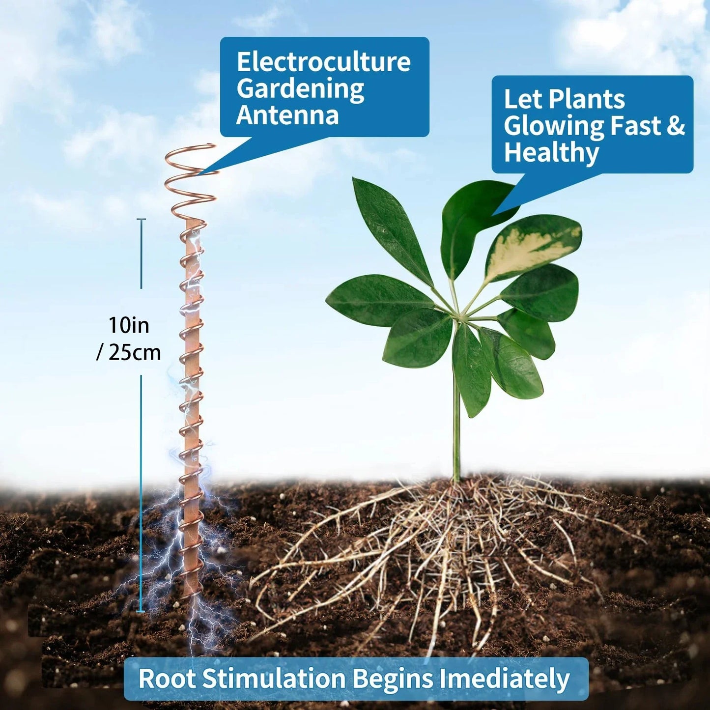 VitalSpire™ – Energy‑Boost Copper Stakes